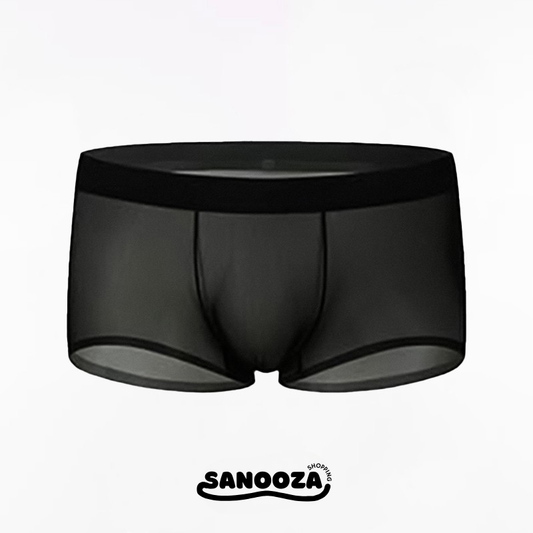 Ultra-Thin Ice Silk Transparent Boxer Briefs